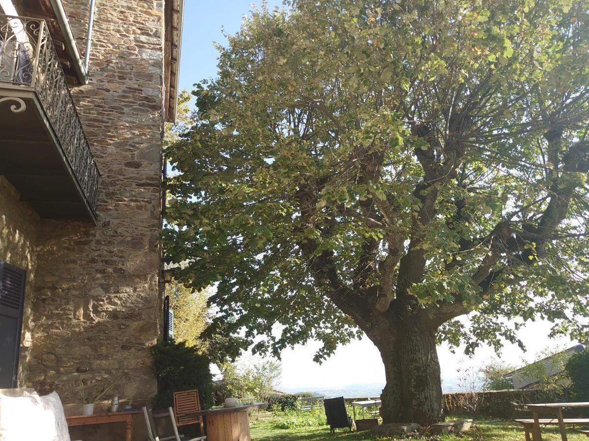Chateau De Riverie Chambres Et Table D'Hotes Екстериор снимка