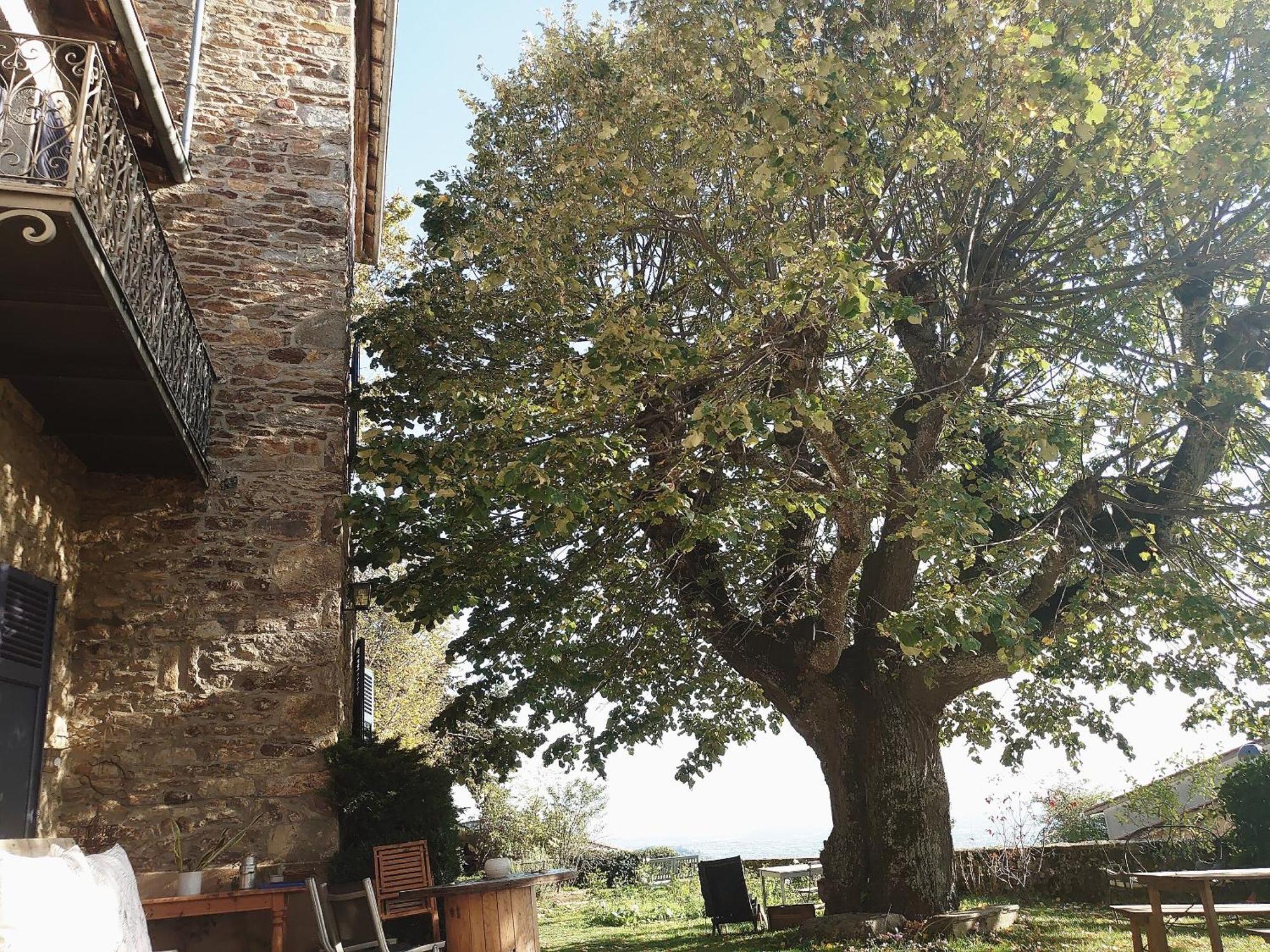 Chateau De Riverie Chambres Et Table D'Hotes Екстериор снимка
