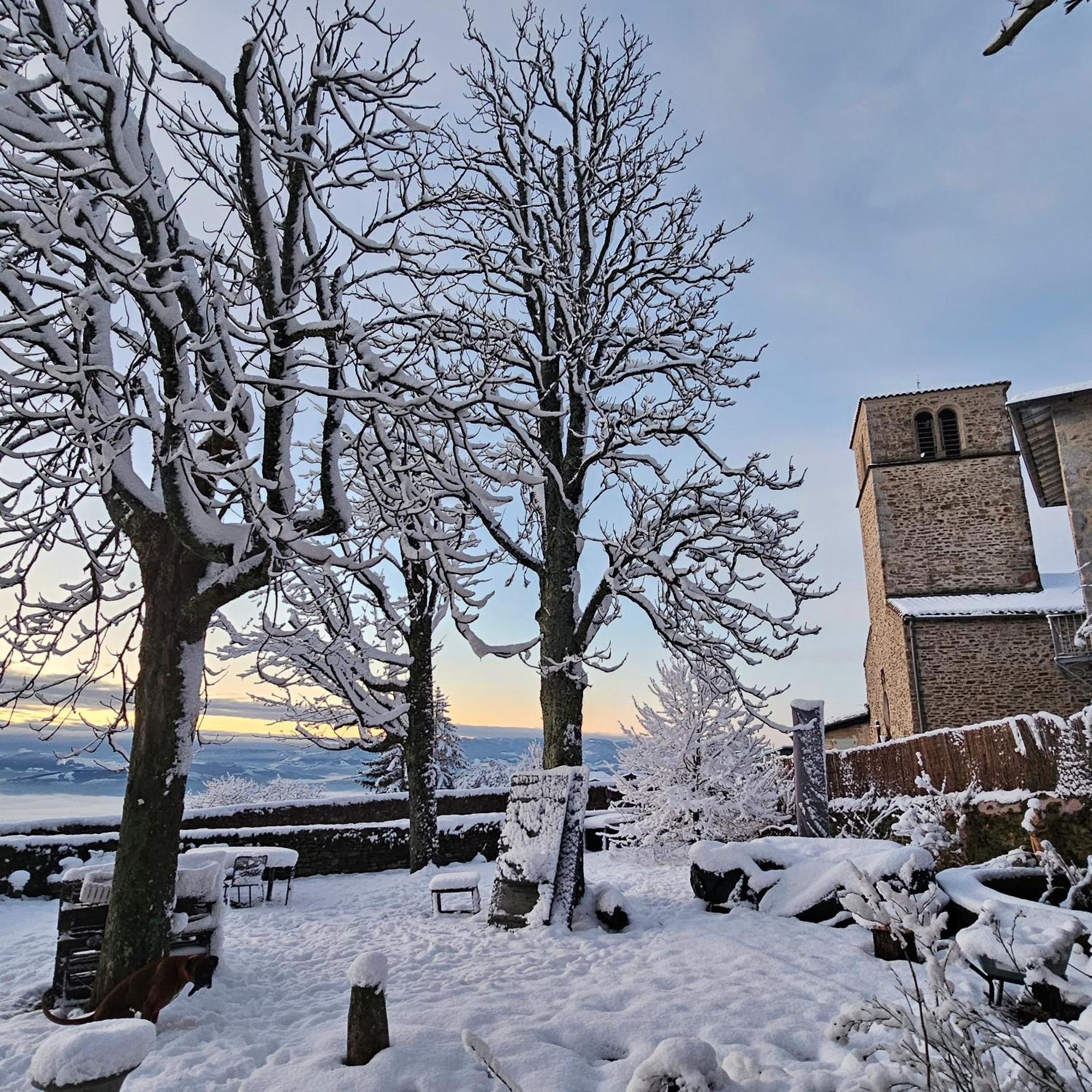 Chateau De Riverie Chambres Et Table D'Hotes Екстериор снимка